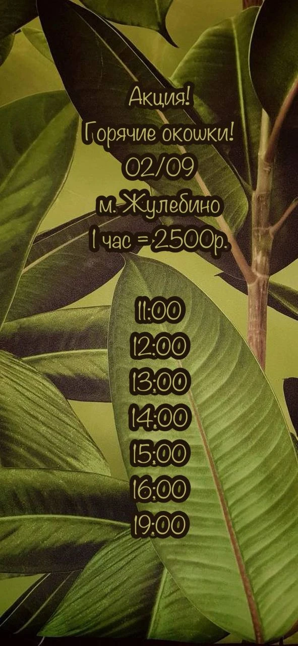 🌿Горячие окошки🌿