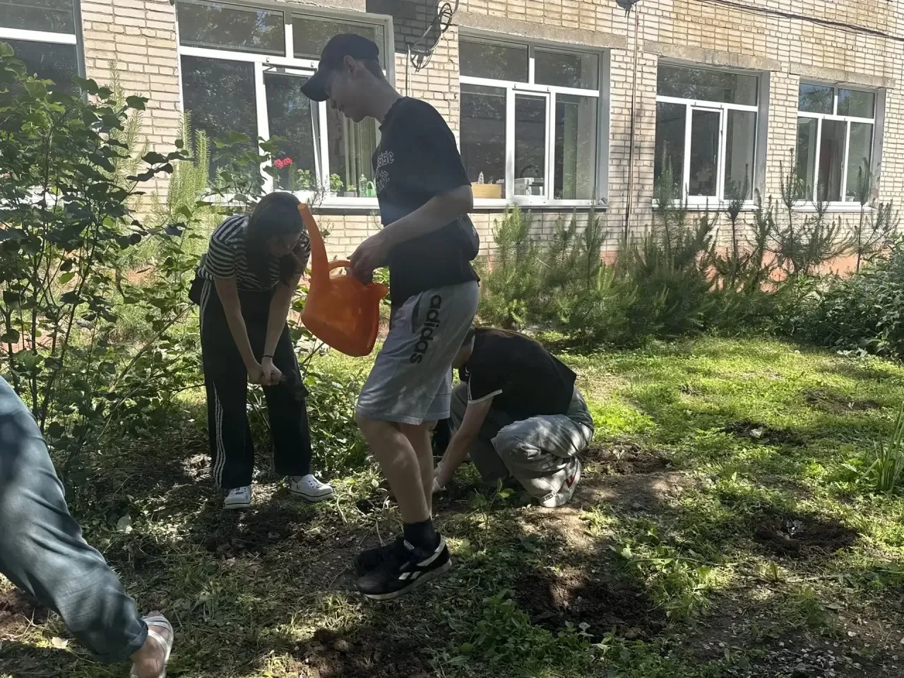 Сегодня, 15.06.2026 учащиеся 9а совместно с отрядом "Зелёные" и учителями Алесиной Е. Н., Романенко 