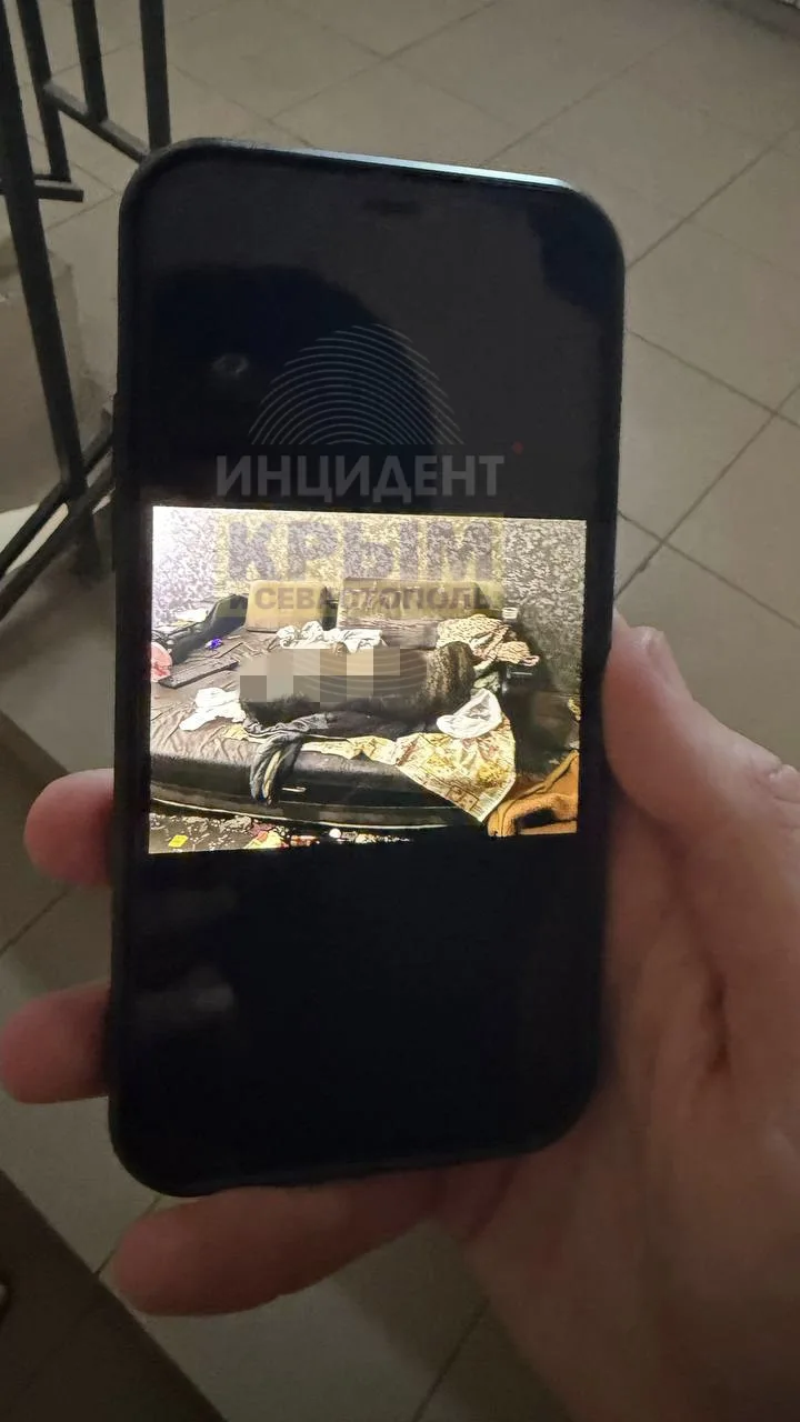 Прошу помощи и максимальной огласки!
