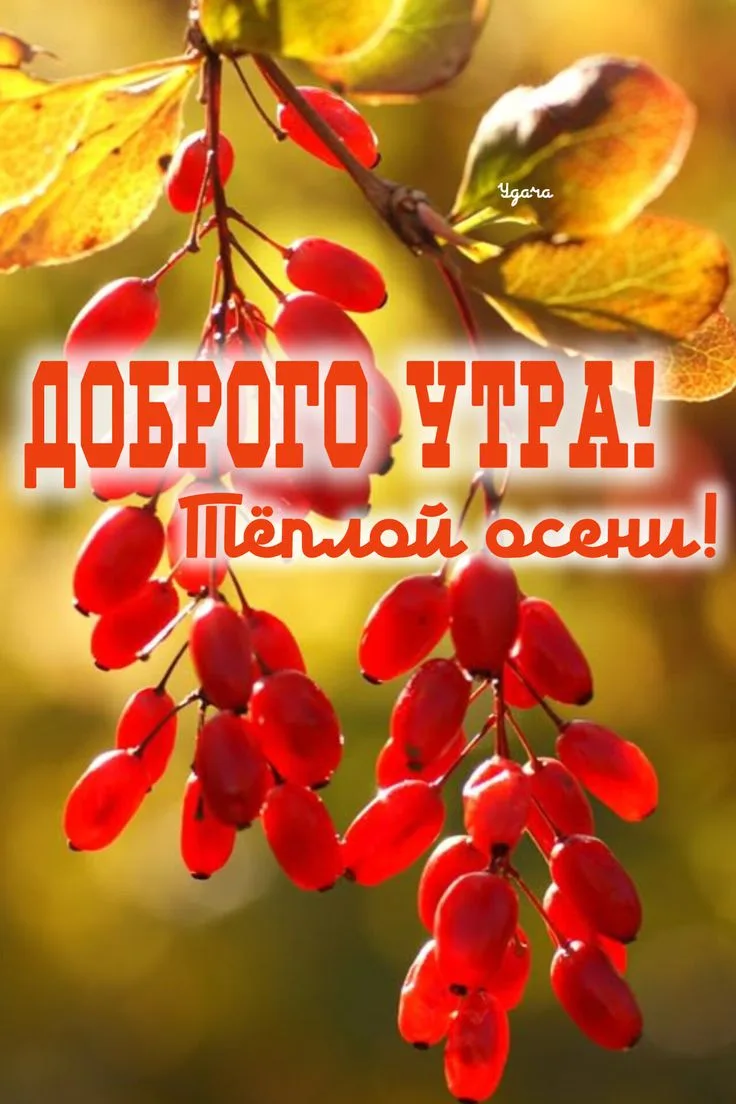 Доброго утра! ❤️❤️❤️