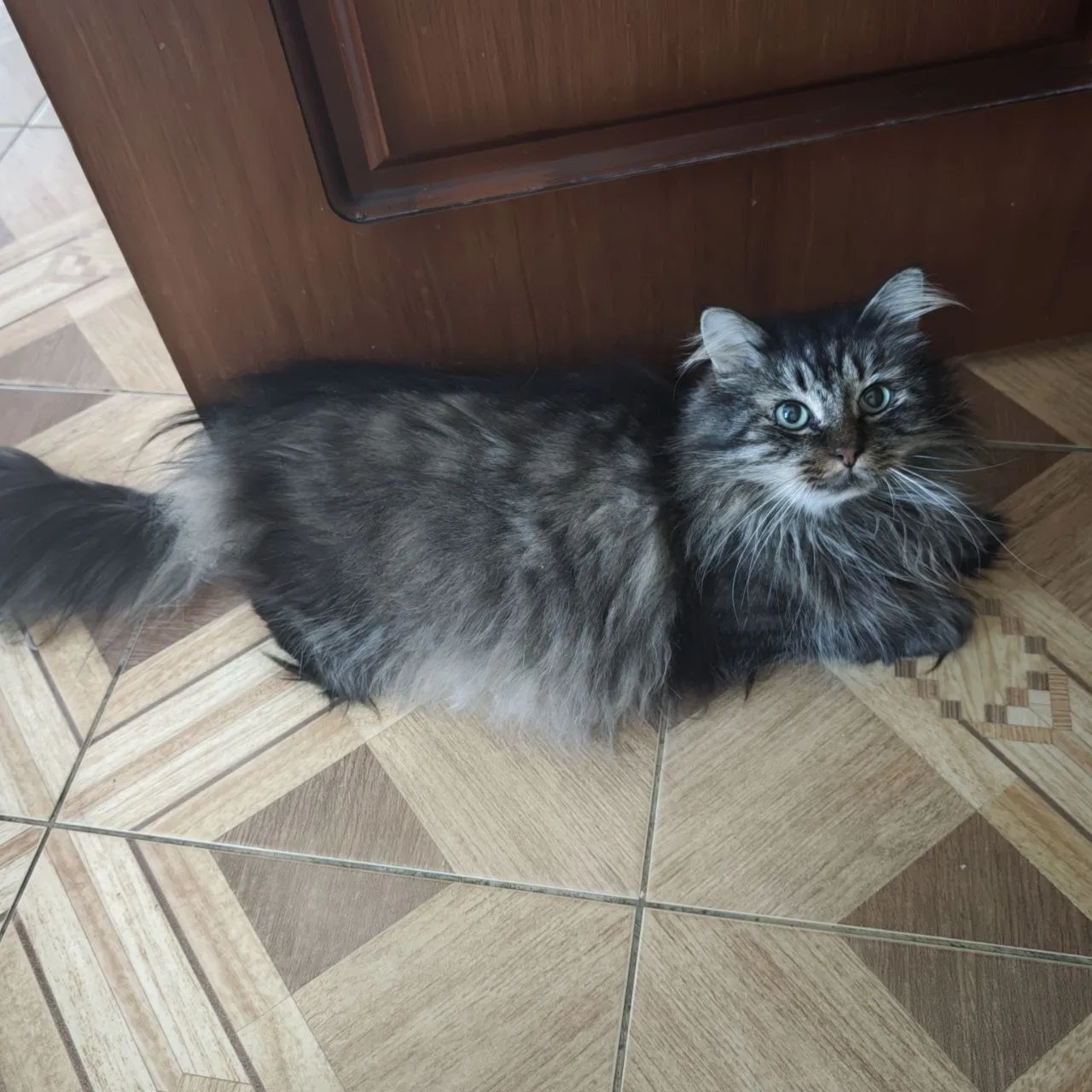 Подписчик пишет