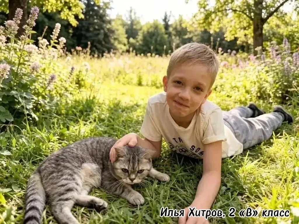 🐾 Всемирный день бездомных животных 🐾