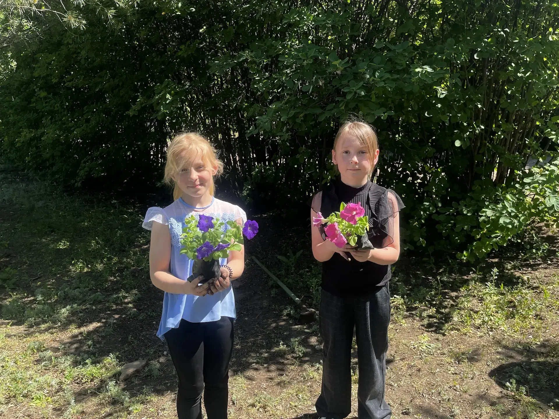 🌱 Маленькие Орлята — большие дела!