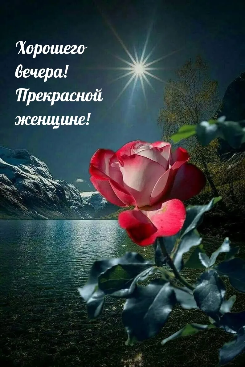 #ХорошегоВечера

Красивые открытки❤️