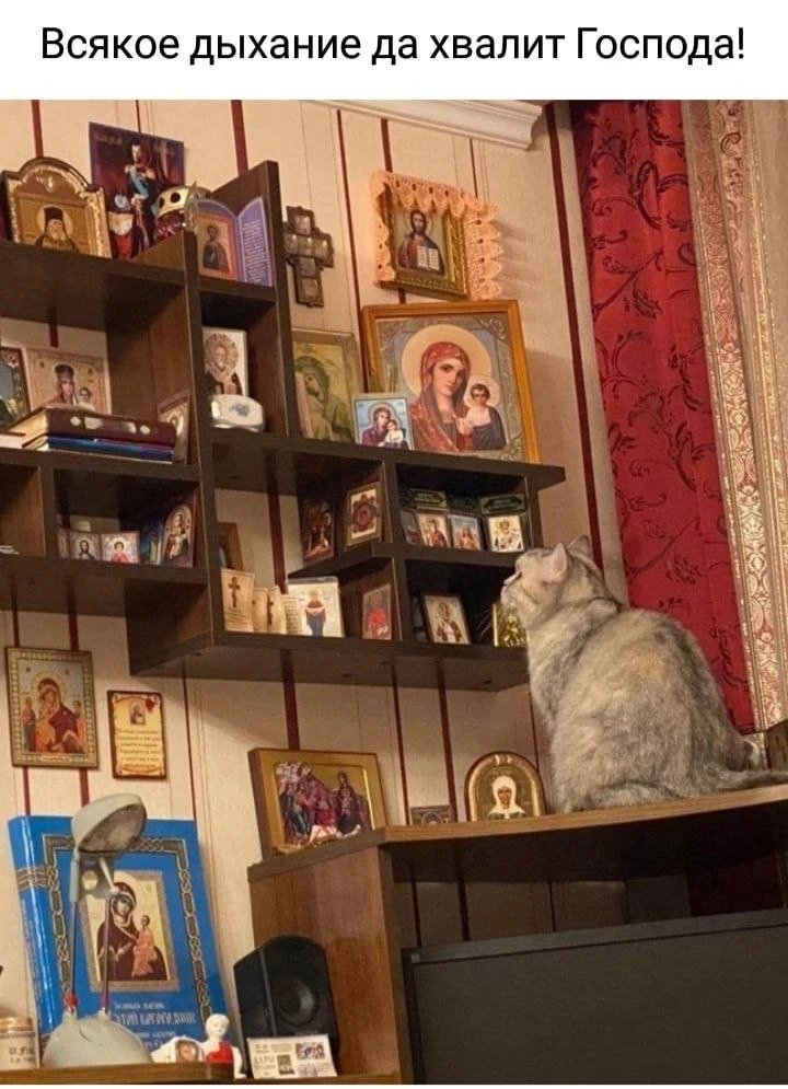 Благословенного утра! ✨