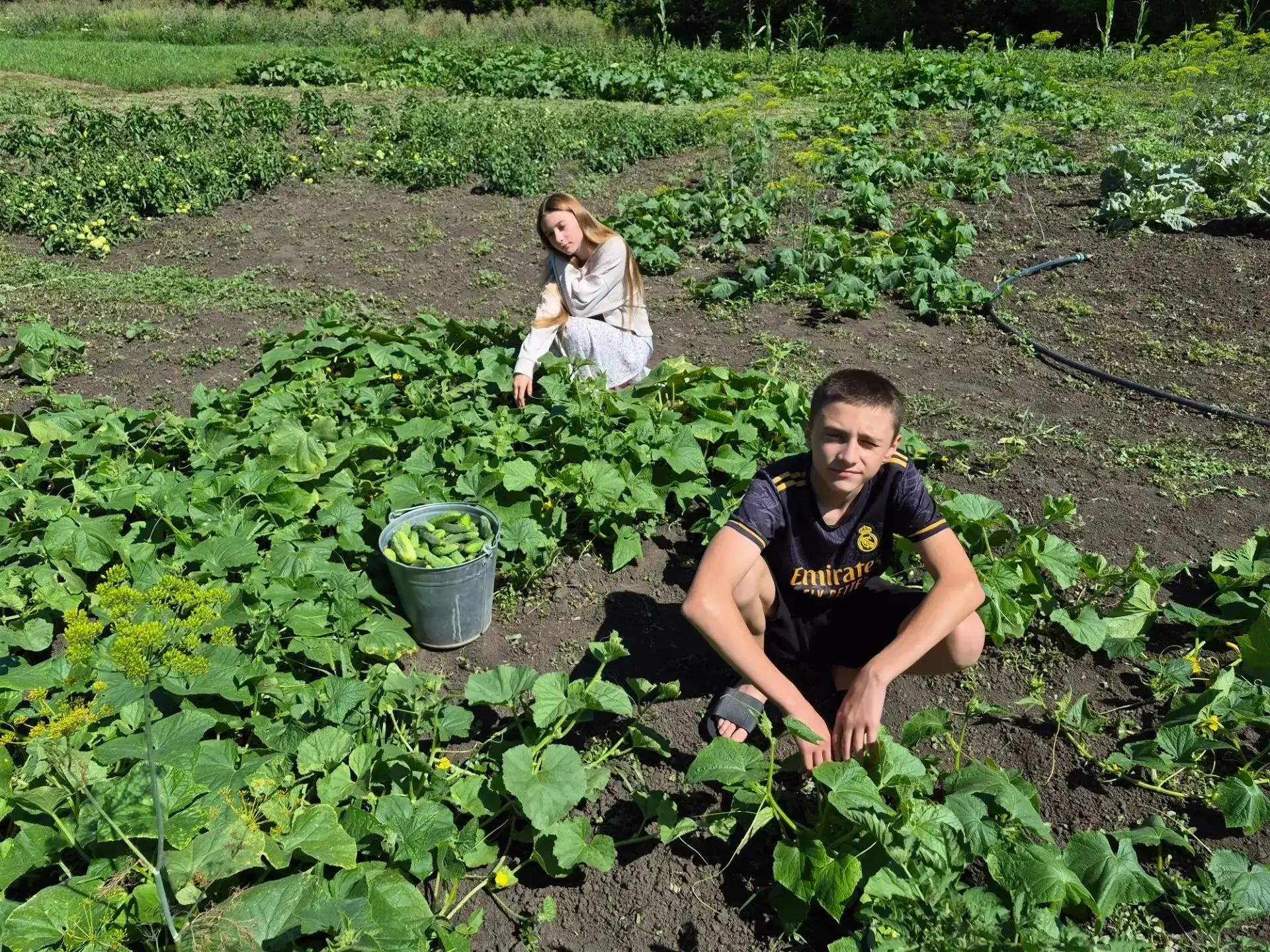 🔥Наступила горячая пора сбора урожая и его заготовки на зиму. Полным ходом идет консер...