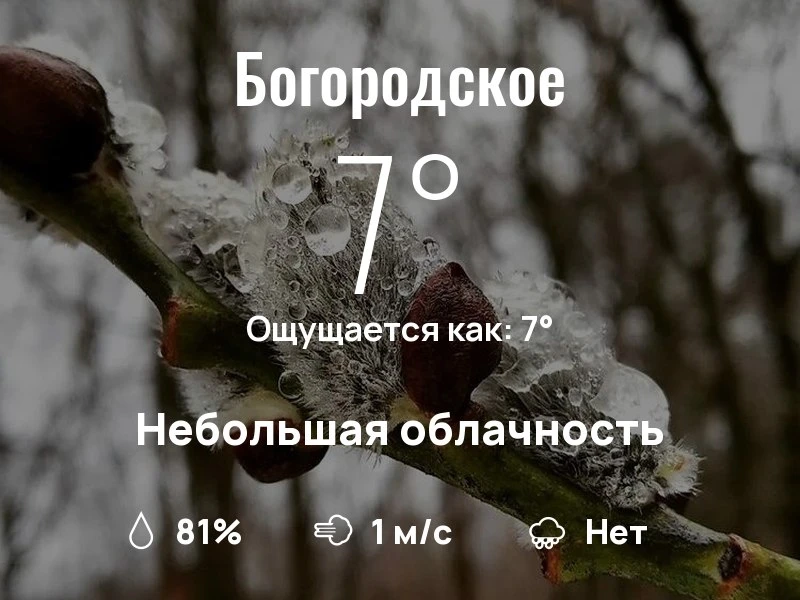 Что с погодой в Богородском?