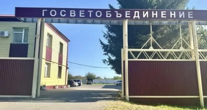 Подписывайтесь на нас в других мессенджерах: