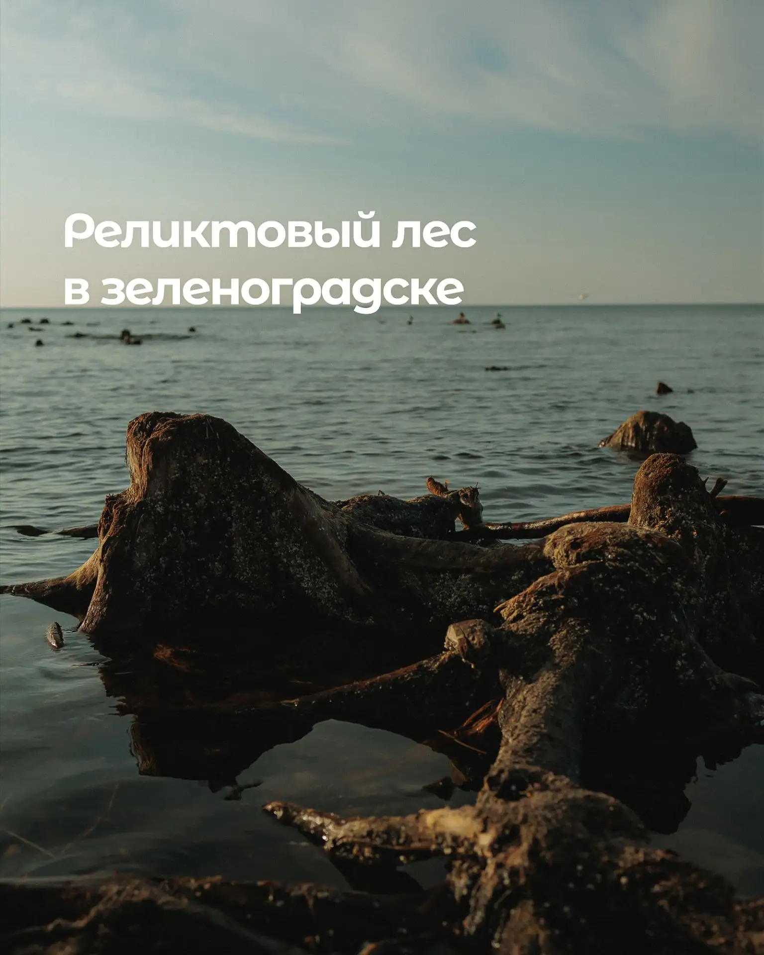 🏖️ Пляжный сезон уже близко, но неожиданные "сюрпризы" могут испортить отдых!