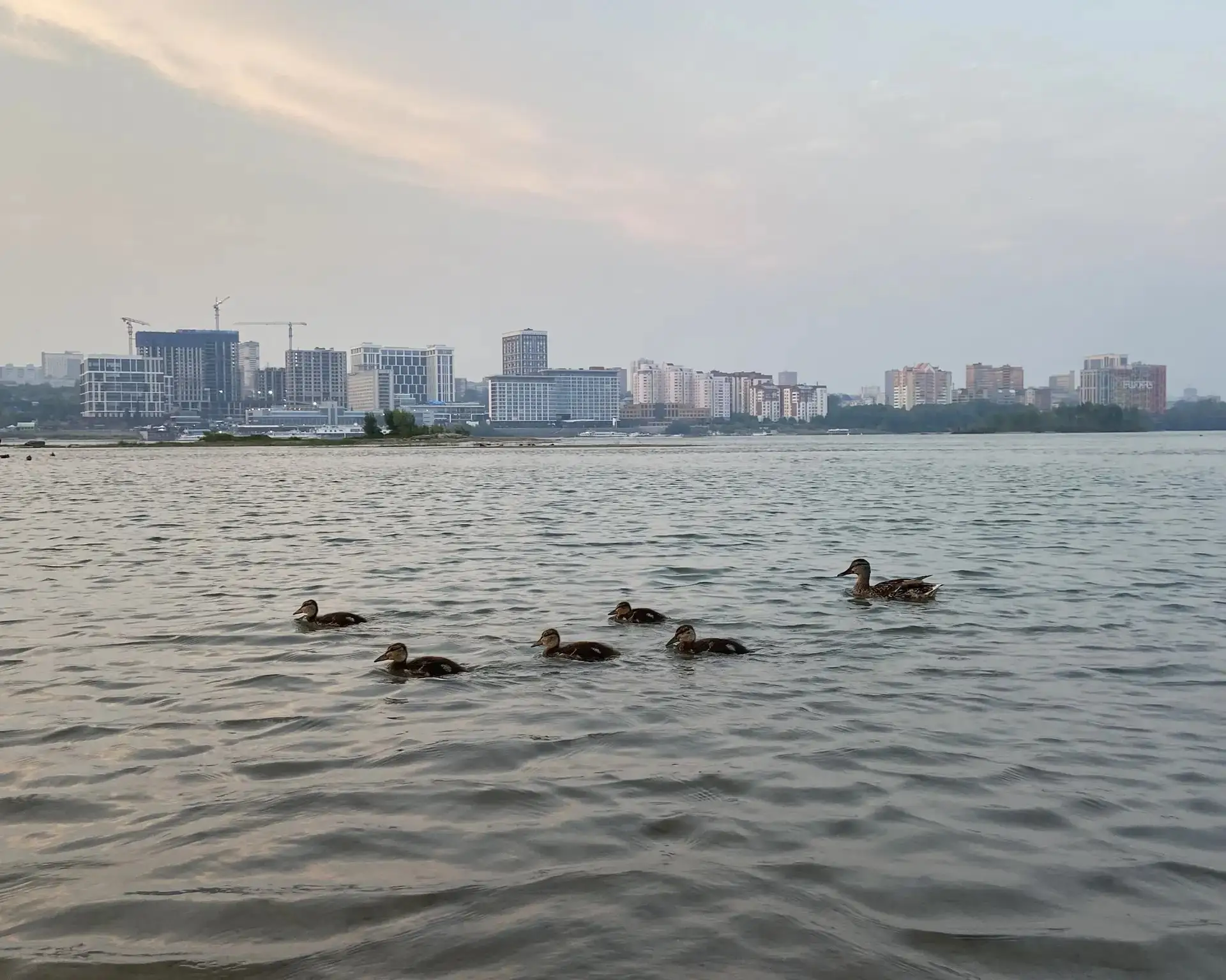 Академгородок | Академ | Новосибирск🏡

🌤 Доброе утро, Новосибирск!

☕ Хорошего дня и приятных выхо