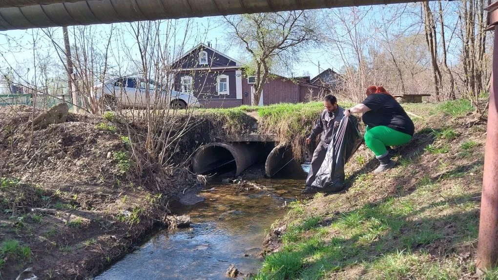 💚 Наш детский сад продолжает участие во Всероссийской акции «Вода России» по очистке б...