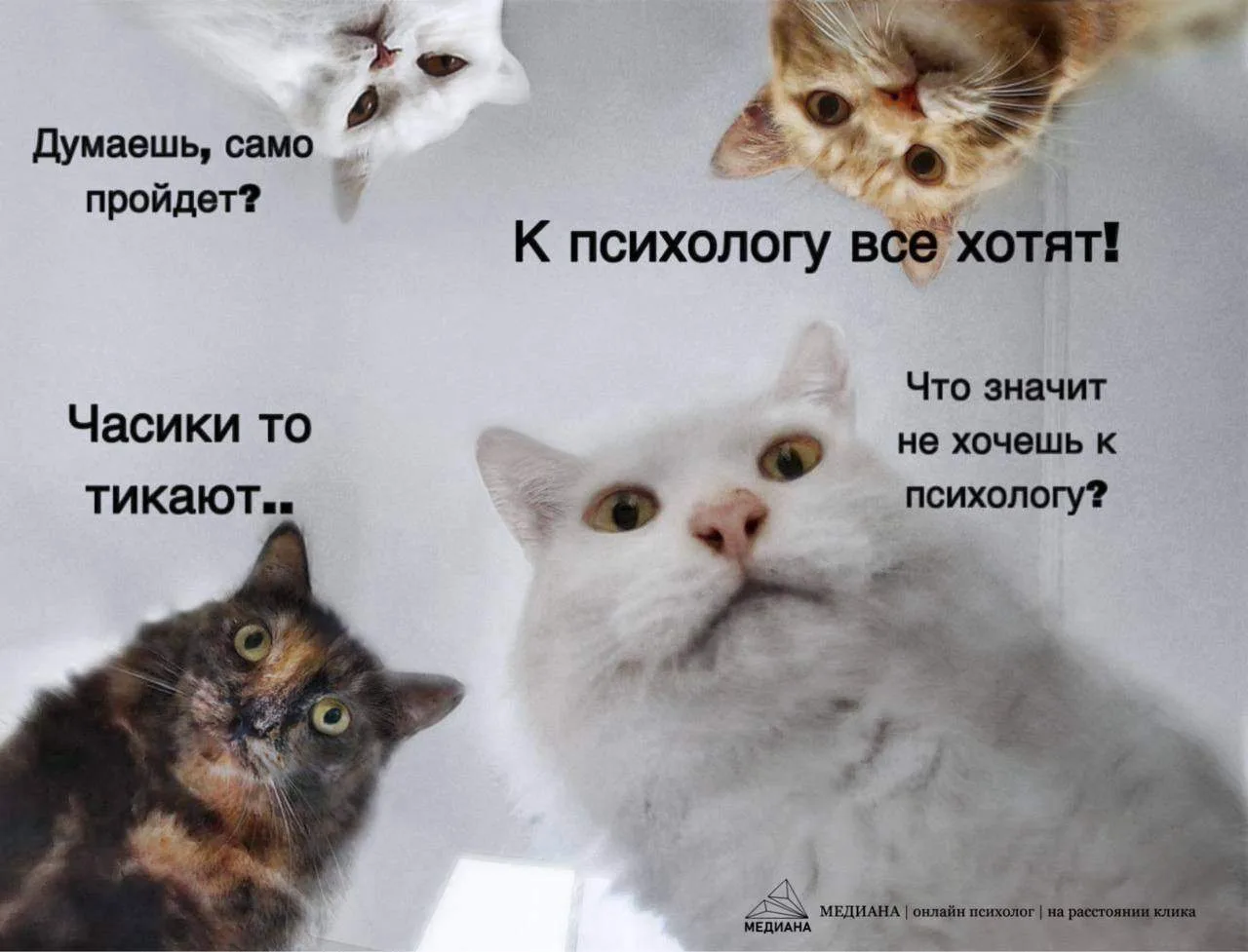 🔔 Как понять, что уже пора?