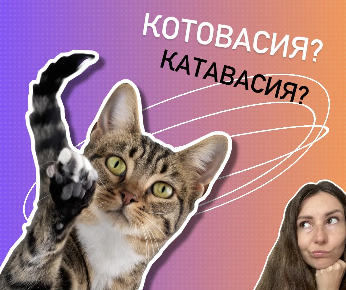 Кот Васька к беспорядку не причастен😸