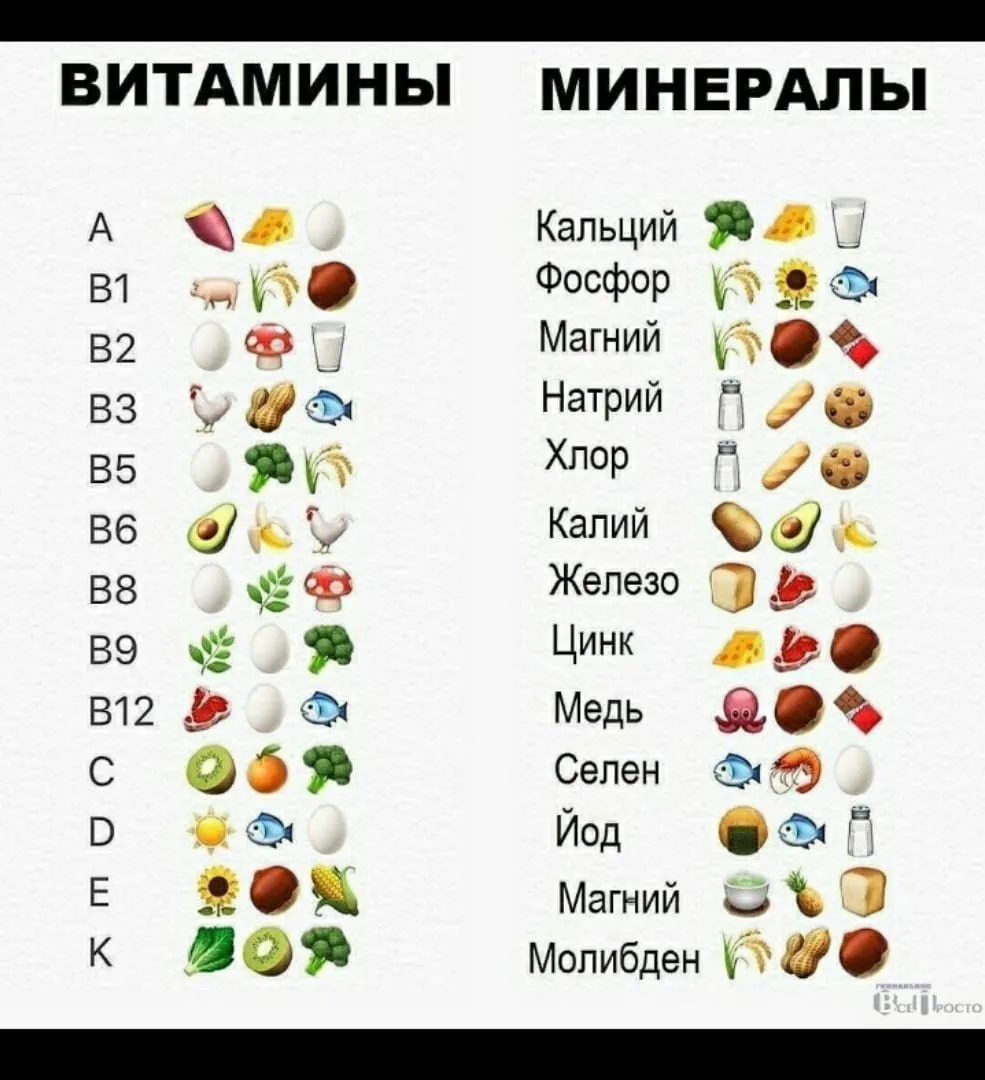 Фото