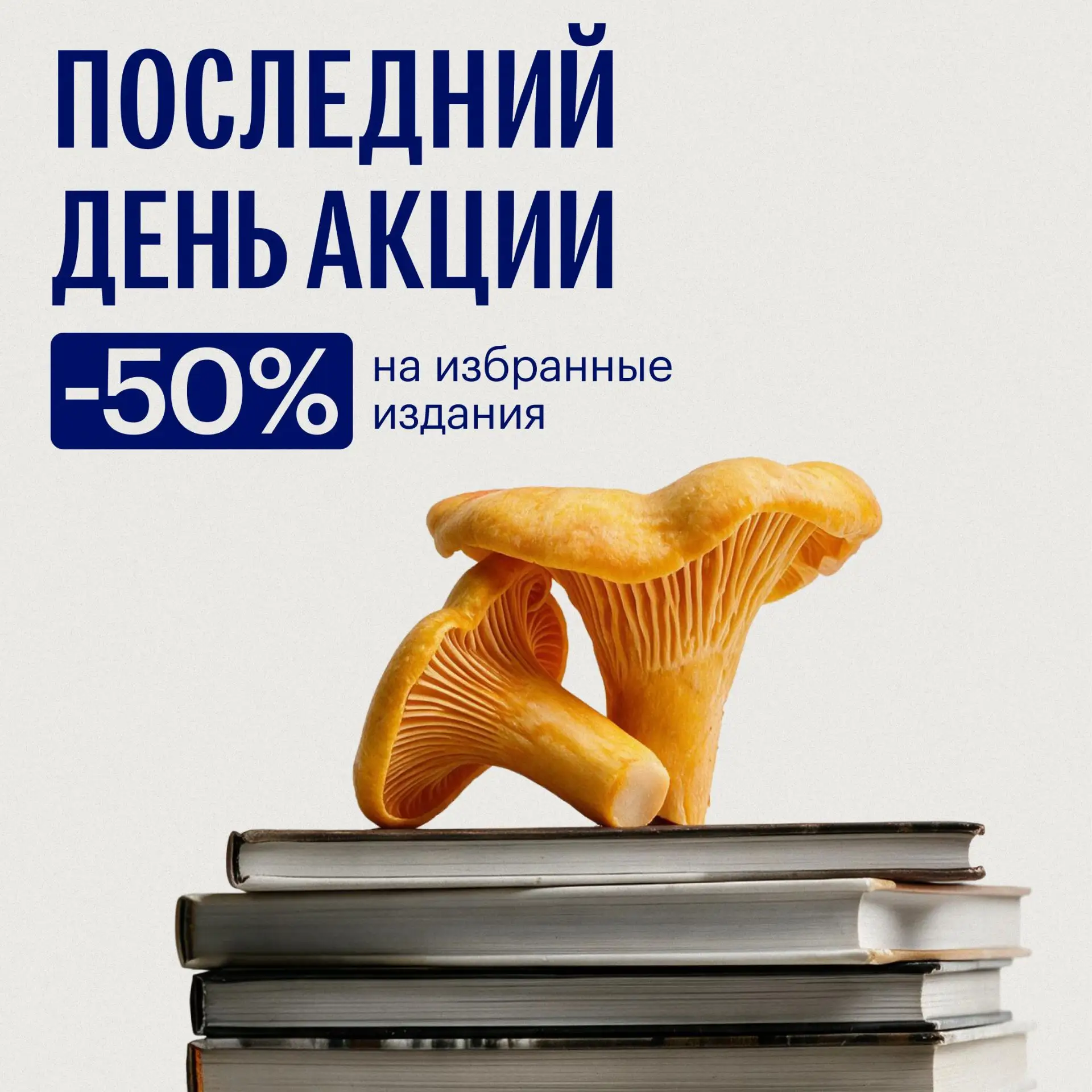 Последний день «Книжного лета» 🍂