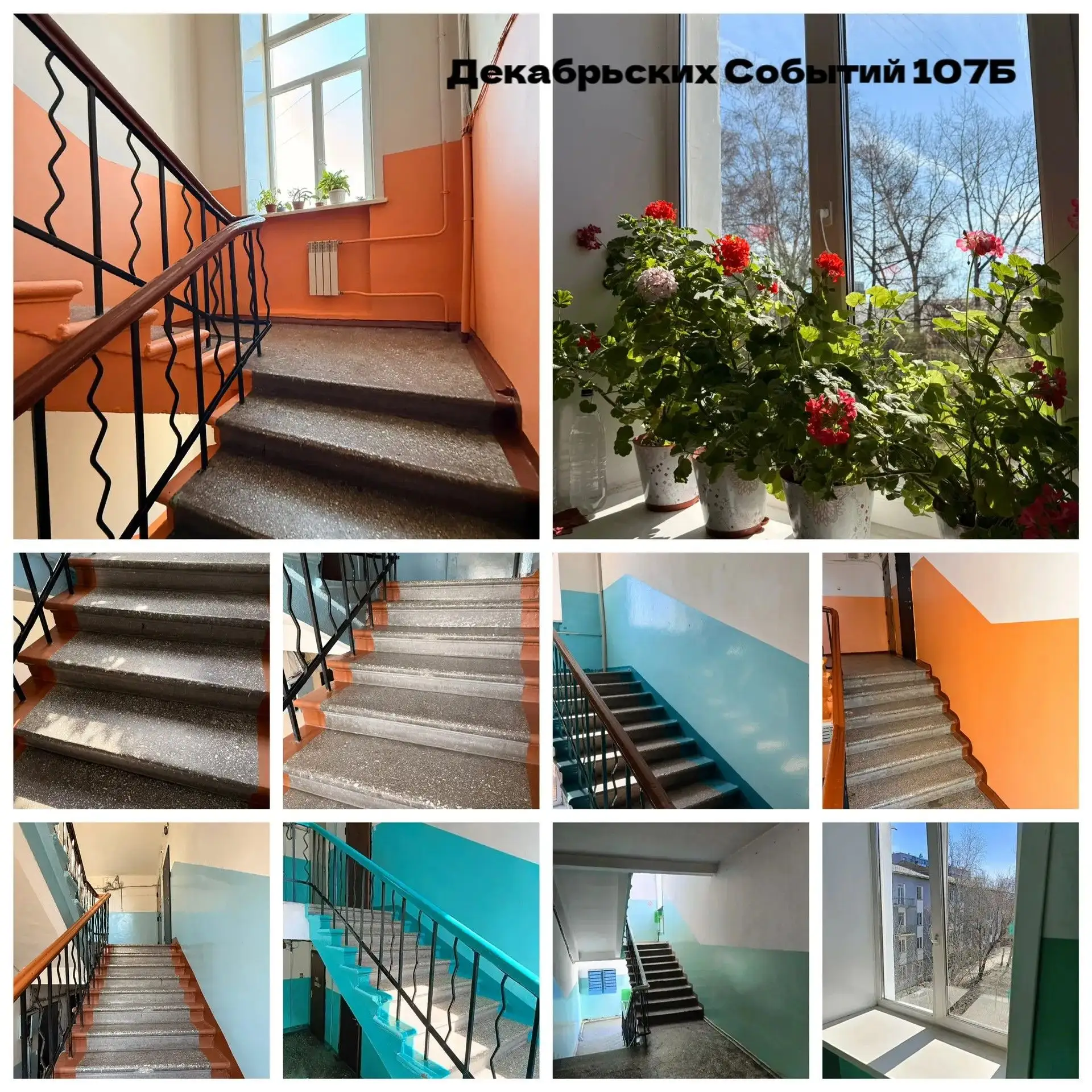 🏡 Завершён плановый осмотр и уборка: итоги по новым адресам