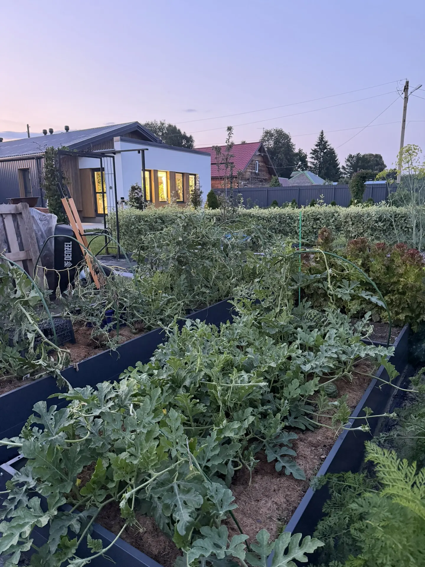 Все дела сделали🌿 София отдохнула за всех🤣 говорит: лето заканчивается, вода +27! Купаться надо! П