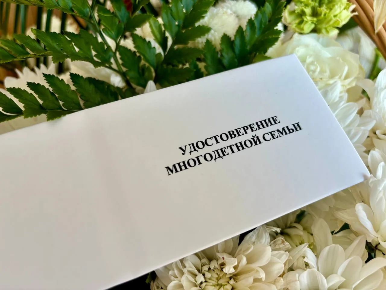 🪪УДОСТОВЕРЕНИЕ МНОГОДЕТНОЙ СЕМЬИ ЕДИНОГО ОБРАЗЦА!