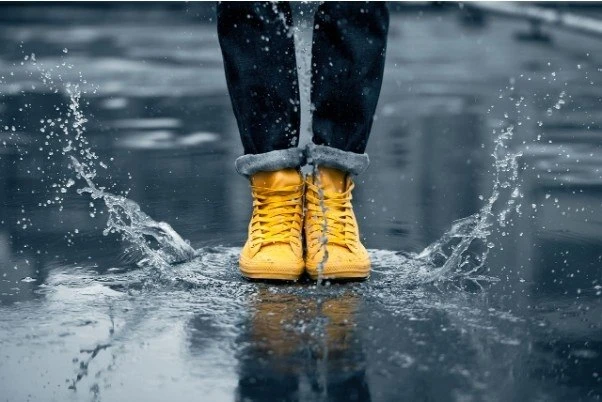 #Здоровыйбыт 

👁️ «Мокрая обувь и грибок: как защитить ноги в сезон дождей»

Летний лайфхак: После 