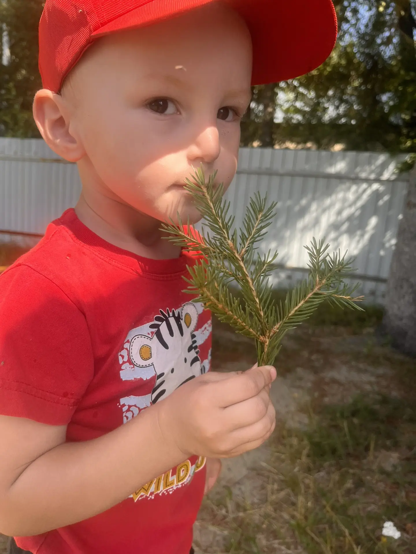 Хвойный день в нашей группе! 🌲 ✨