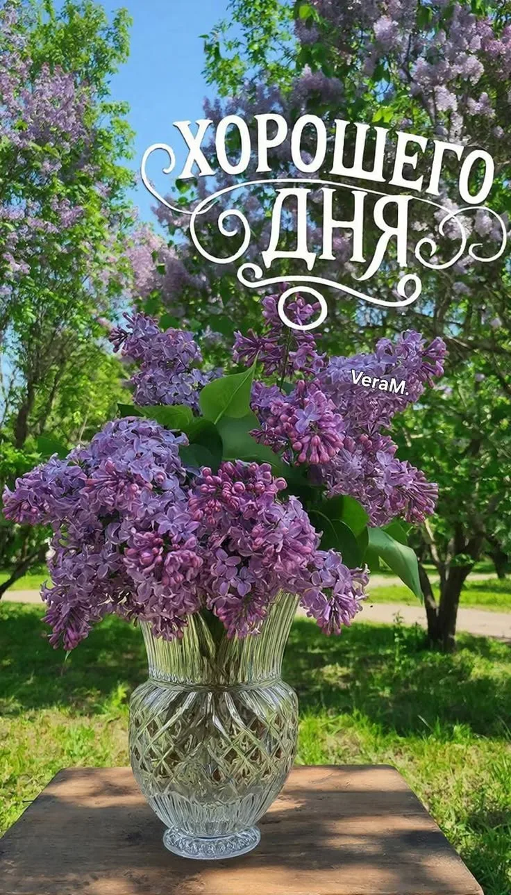 Подпишись 👇
Мои открытки  - МАХ • Открытки • Доброе утро • С днём рождения • Спокойной ночи