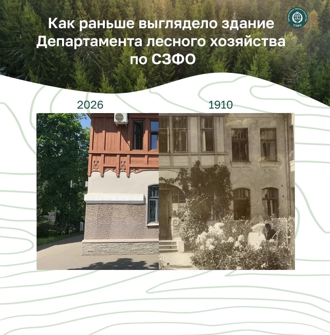 ✨Где живет ваша энергия?✨

🇷🇺12 июня — День России. Это праздник единства, нашей общей истории и т