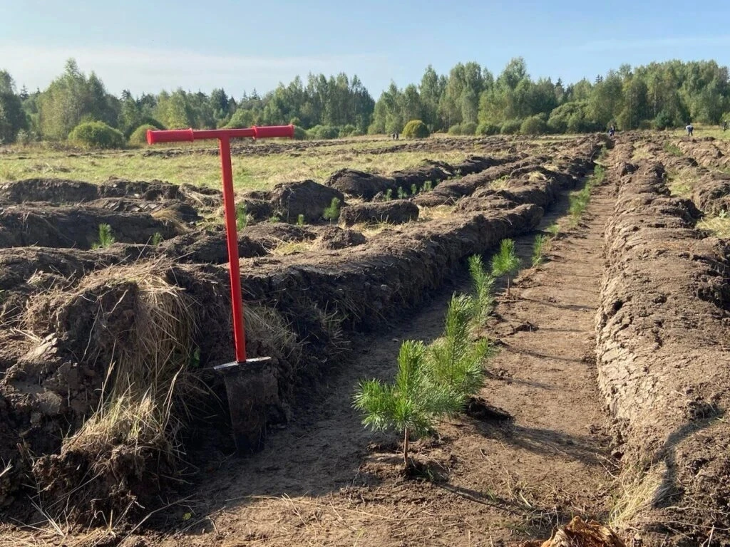 🌳 Жители Мещовского и Барятинского округов высадили «Сад Памяти».