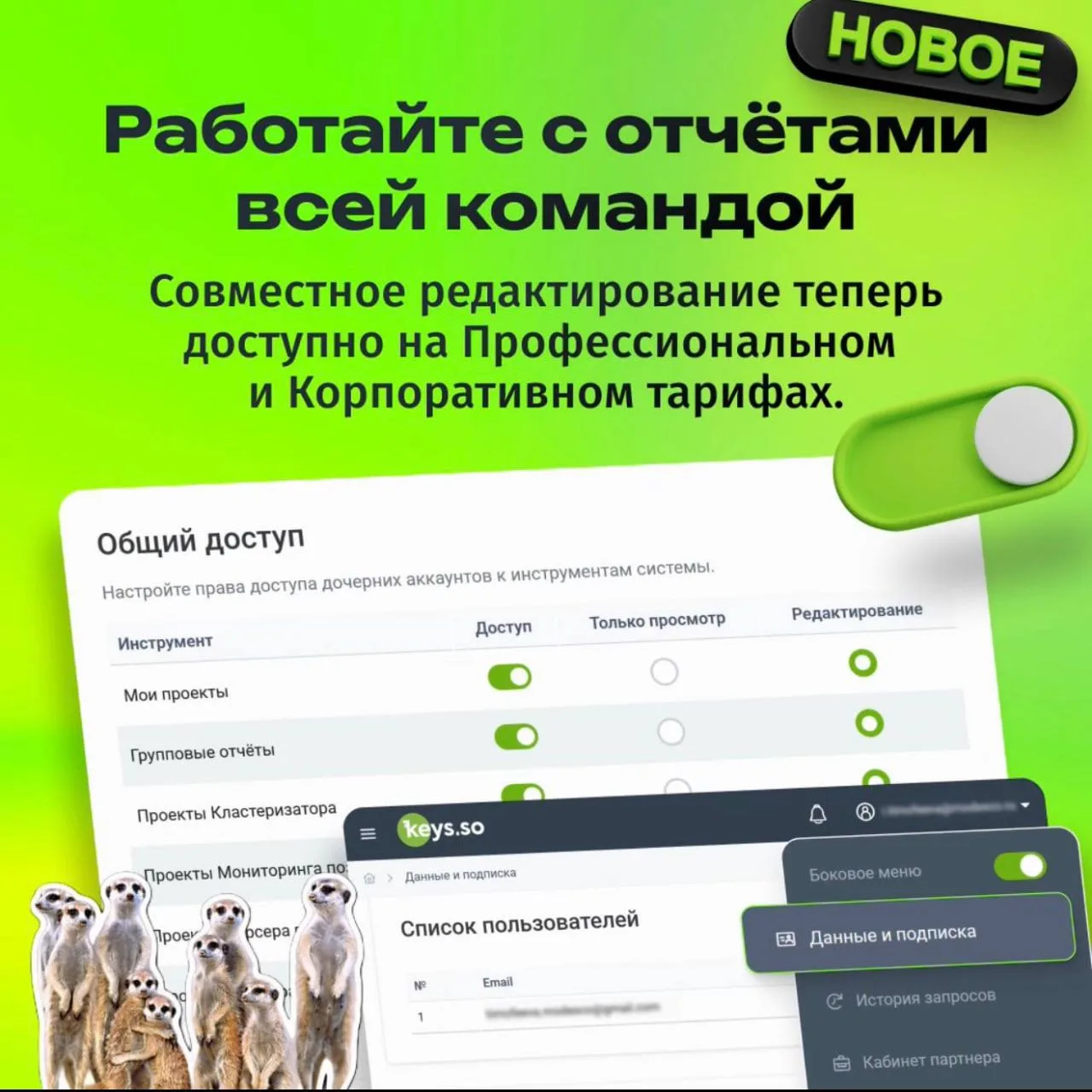 Работать с отчётами в команде стало проще

В Keys.so появились новые настройки доступа на Профессион