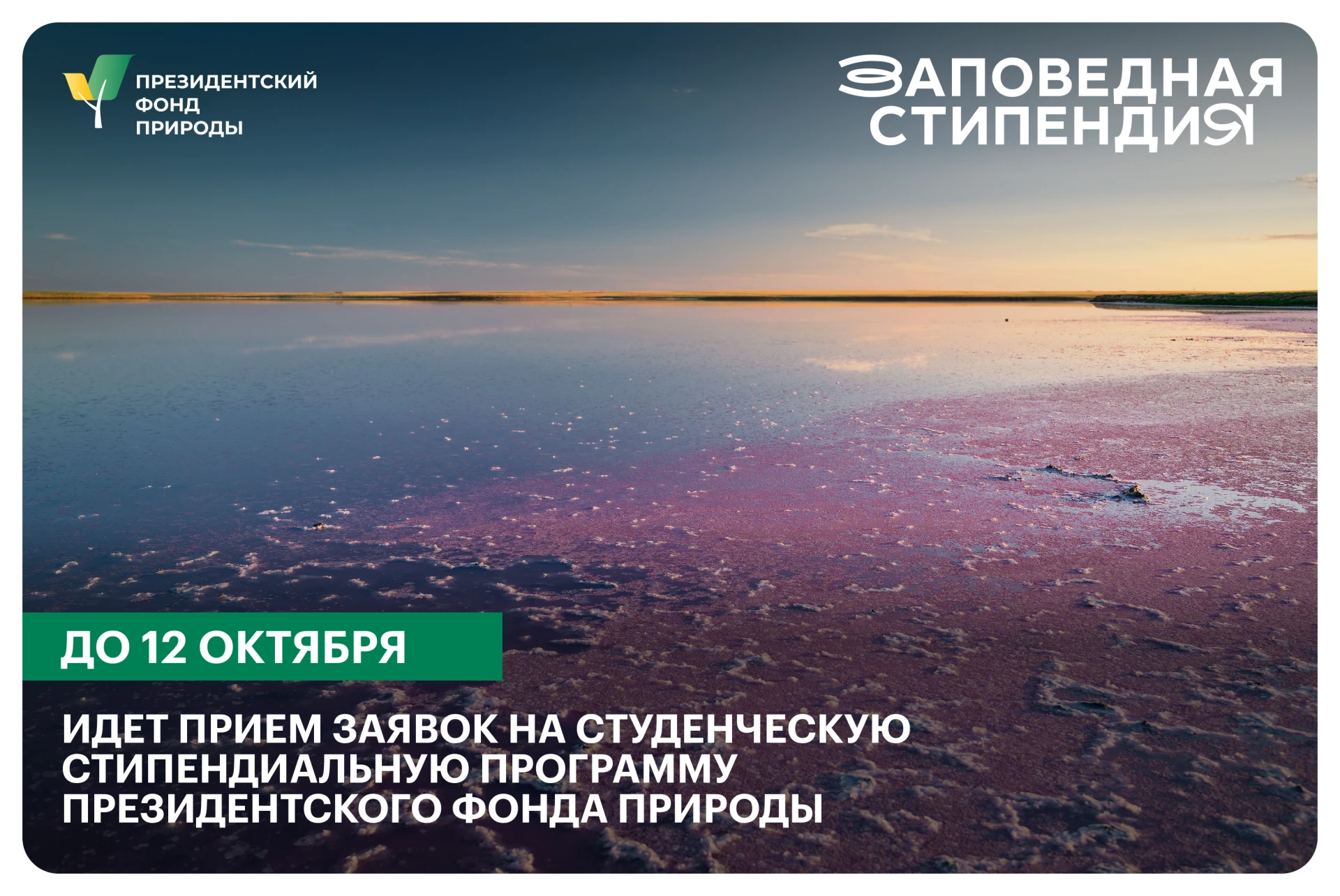 ❗12 октября завершается прием заявок на студенческую стипендиальную программу Президент...