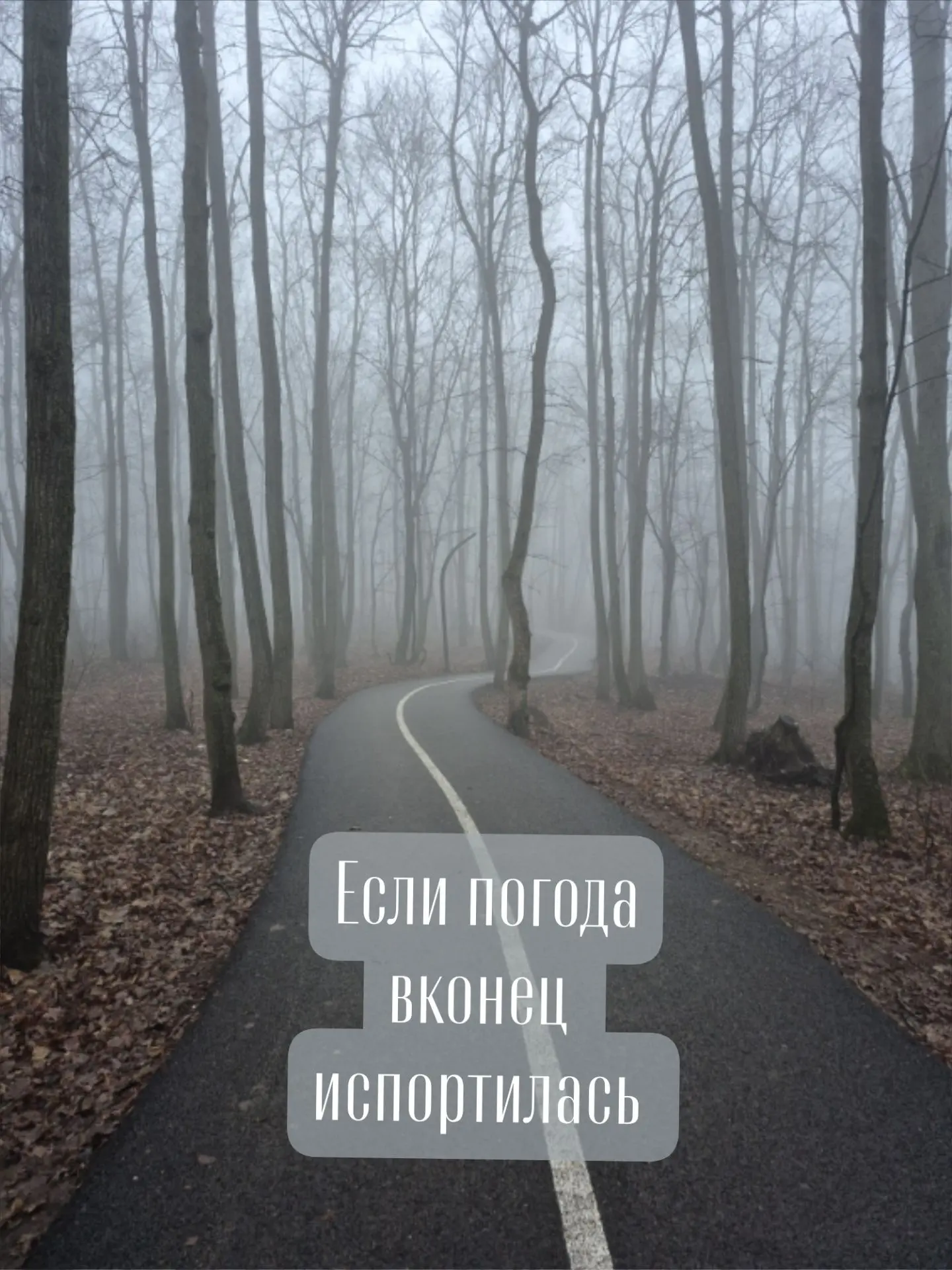 ☔️ Как же сложно выйти из дома в такую погоду...