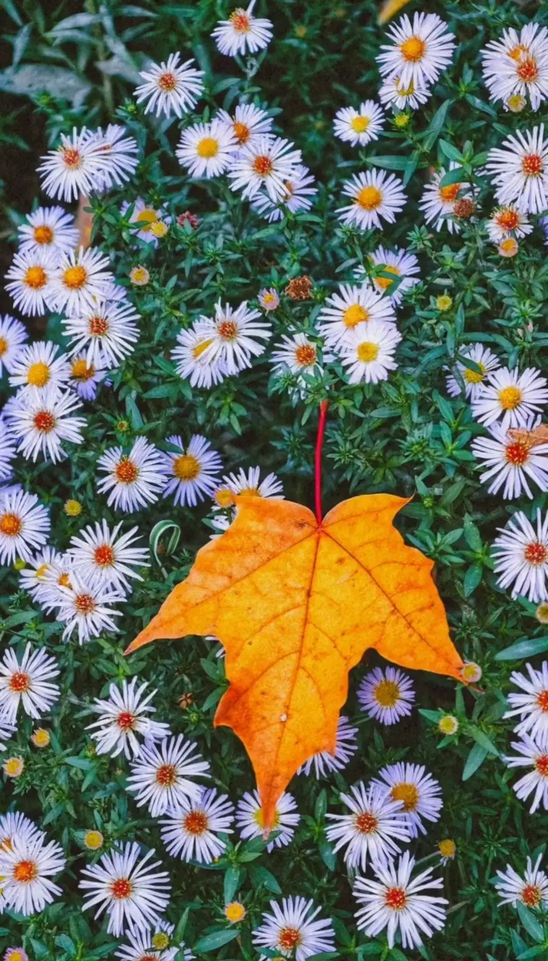 Доброй ночи, Ульяновск! ❤️