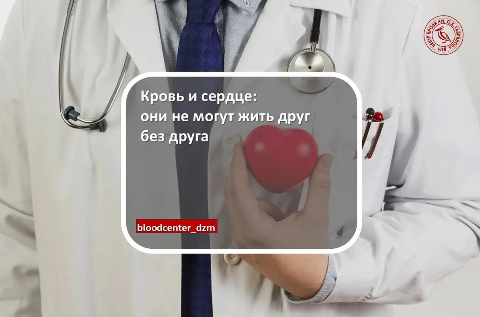 Кровь и сердце: они не могут жить друг без друга