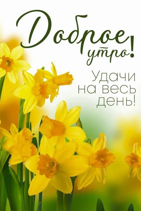 Поздравления для Настроения💌