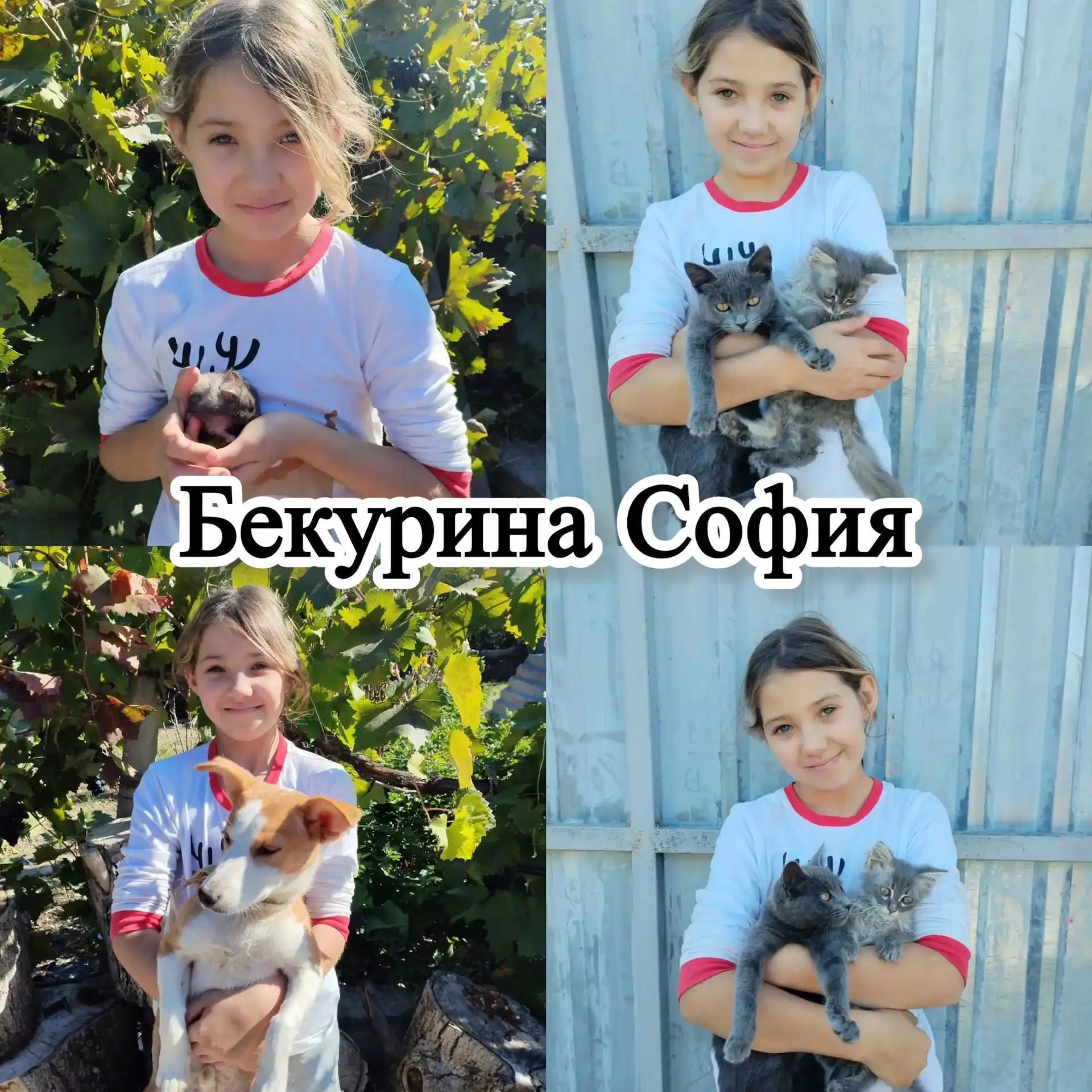 Участники онлайн-акции «Усатый нянь»🐈🐶