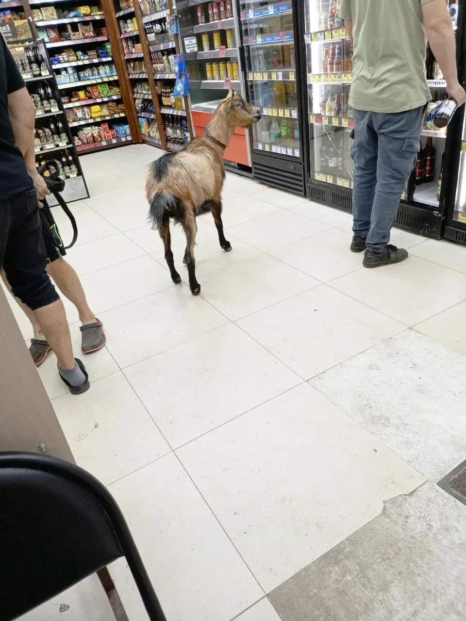 От подписчика: типичный посетитель Бристоля🐐 😄