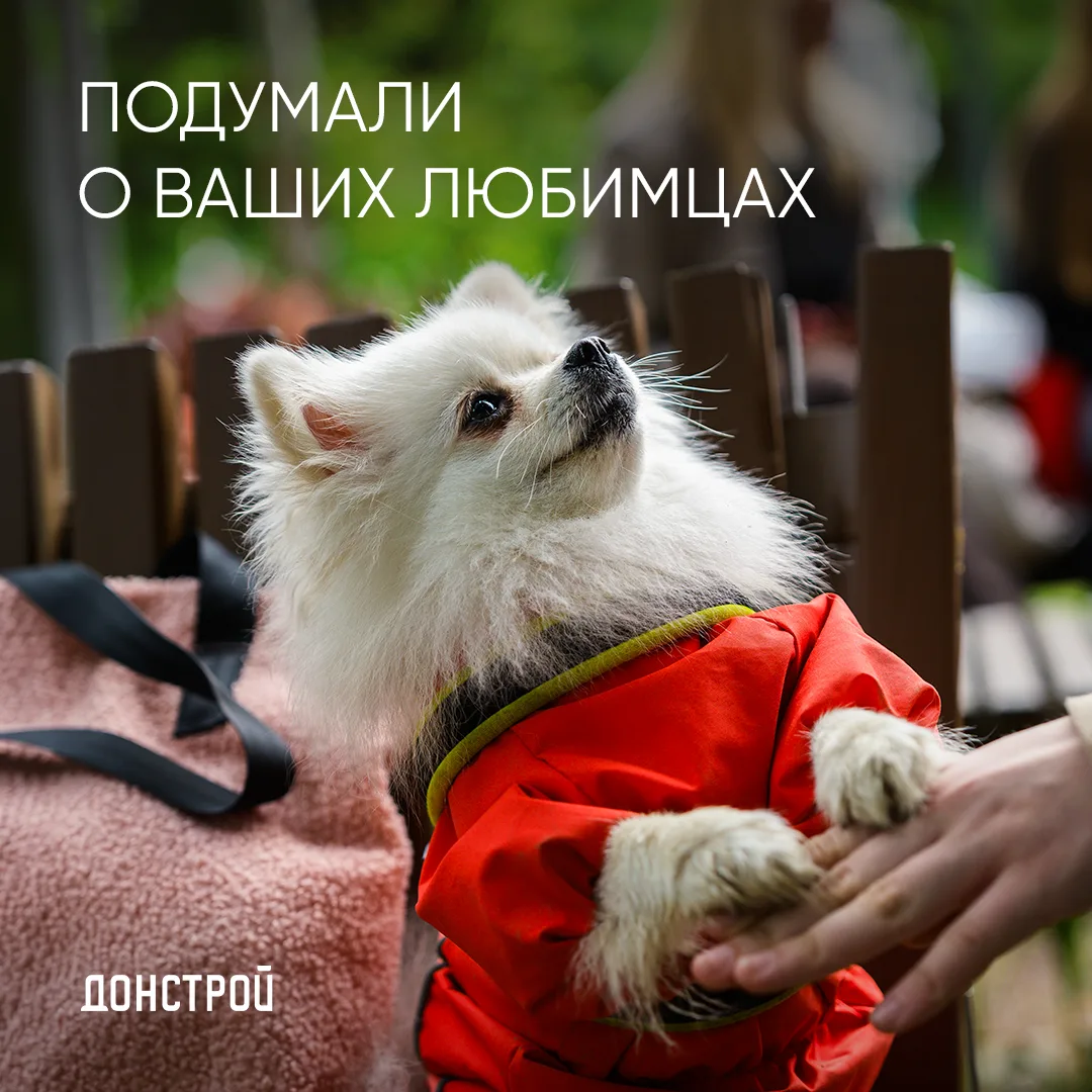 «Один взгляд на поводок — и хозяин все понимает. Через пару минут мы уже в парке, обмен...