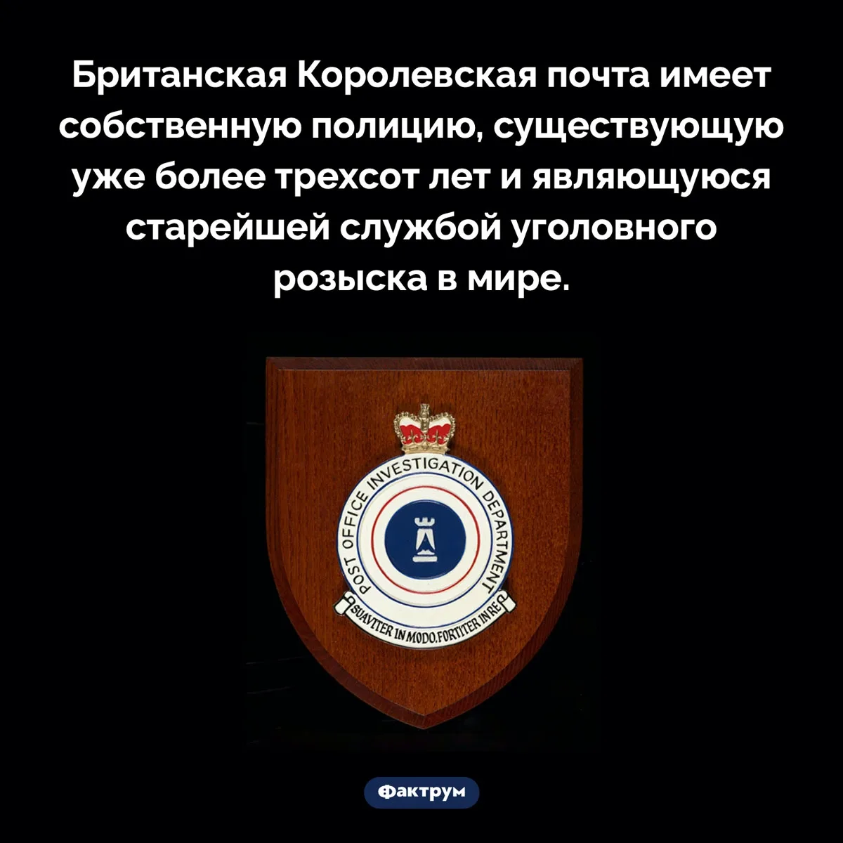 Рубрика "Факты дня в картинках"