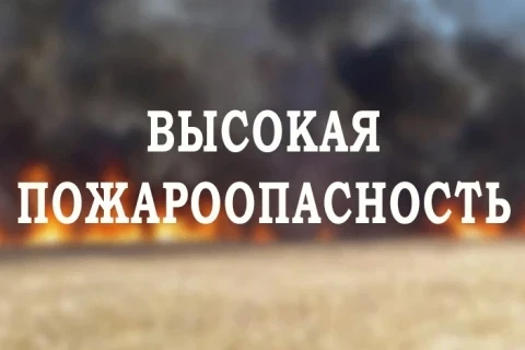 ⚡️С 17 апреля в Томске действует пожароопасный сезон, требующий строгого соблюдения мер безопасности