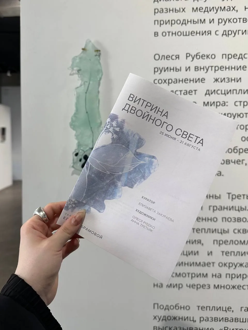 «Витрина двойного света» в Abramova Gallery 🪷