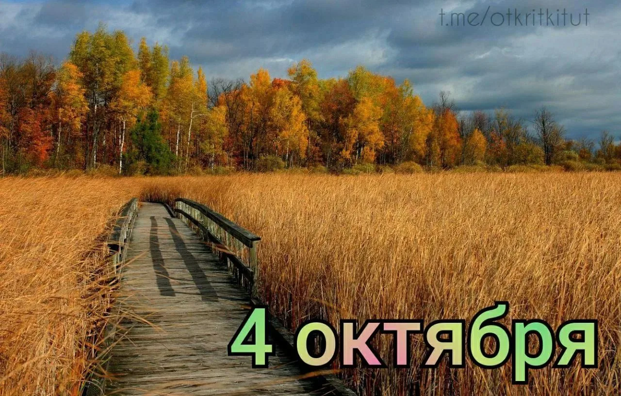 Праздники 4 октября 🍁