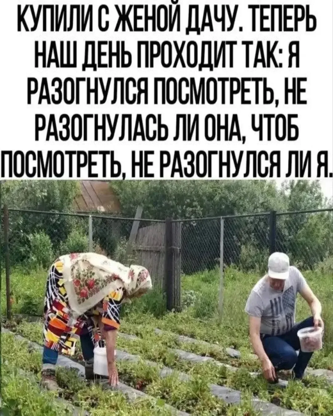 МИНУТКА ЮМОРА 😆