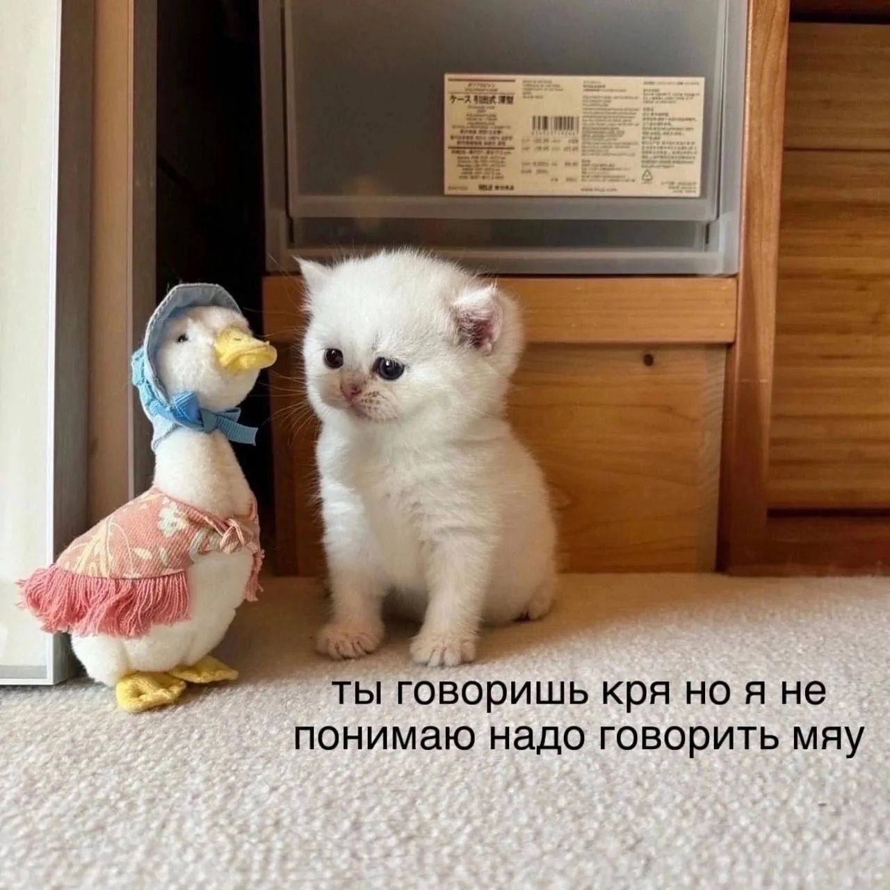 Мемы каждый день • Подписаться