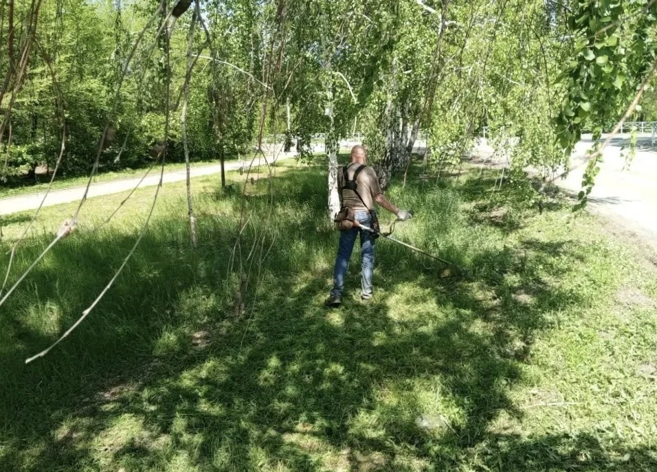 Добрый день, друзья!  Дождей в этом году много. Хорошо для садов и огородов, плохо для аллергиков. С