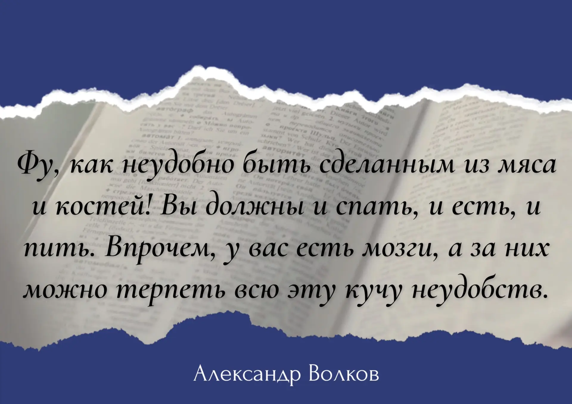 #цитатадня