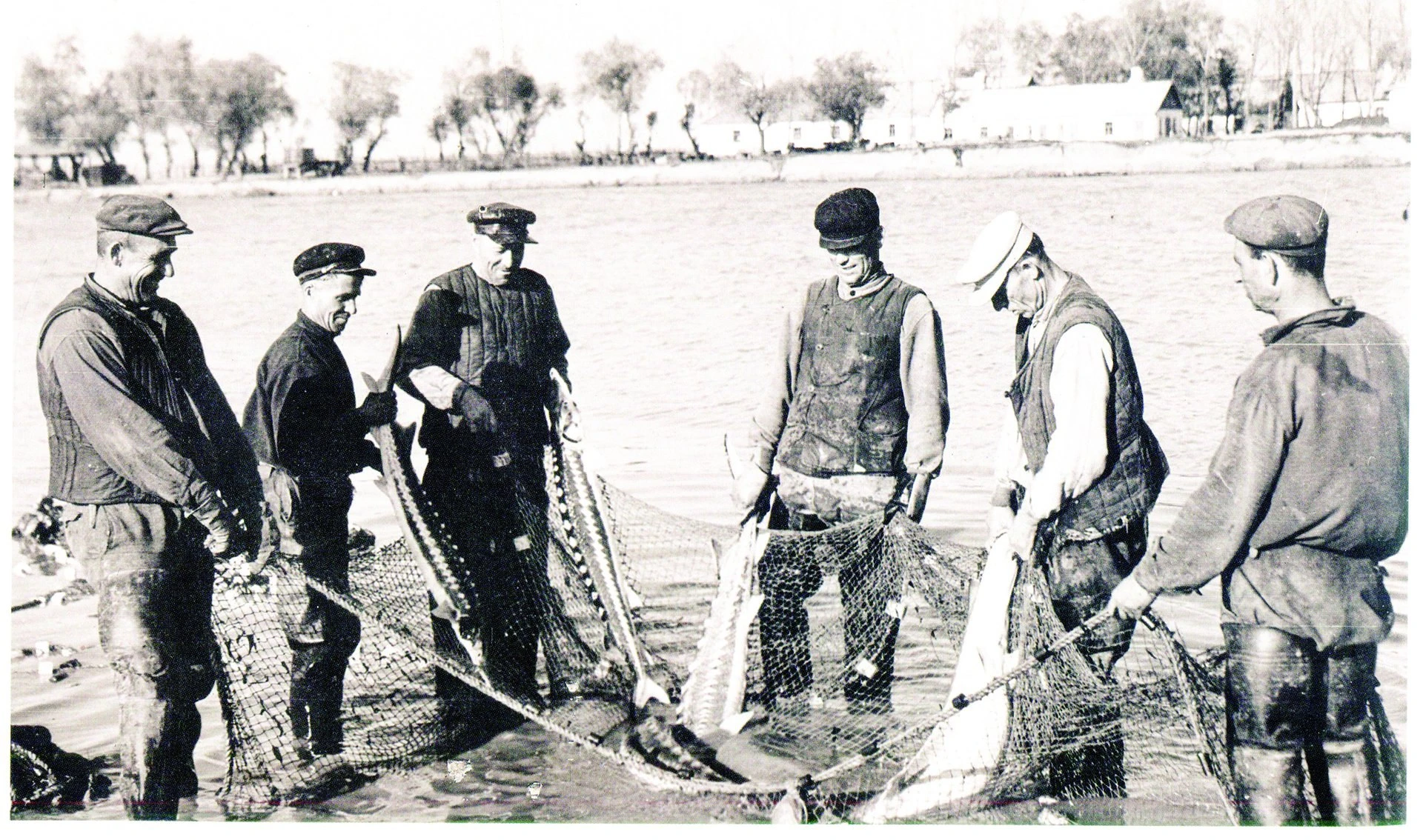 🐟 Как Темрюкский район осваивал рисовые поля и развивал рыбный флот