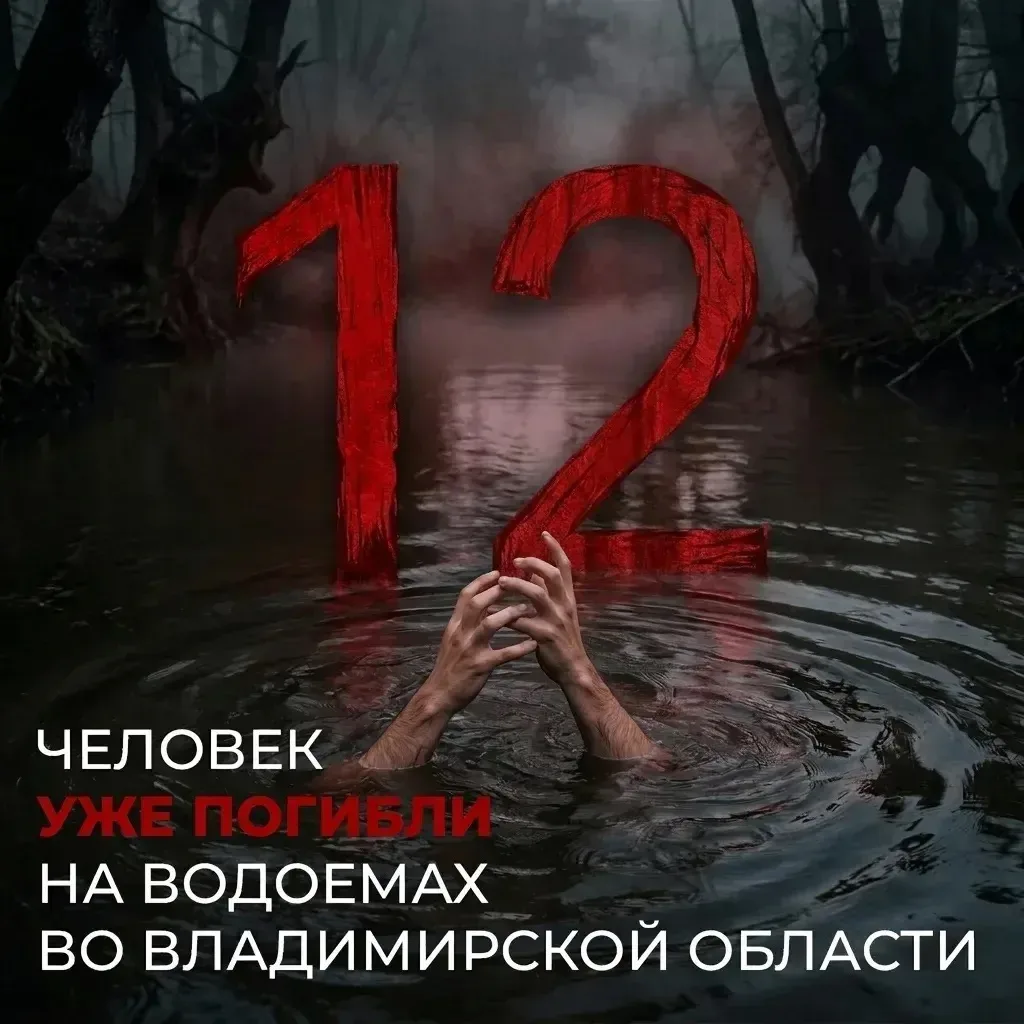 ❗️ Вода не прощает ошибок
 
С начала года на водоёмах Владимирской области погибли 12 человек, трое 