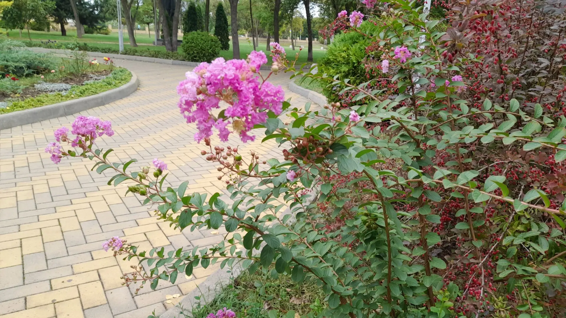 Доброе утро!