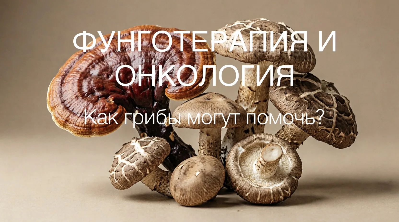 🍄 ФУНГОТЕРАПИЯ И ОНКОЛОГИЯ:
Как грибы могут помочь?
Интересуетесь натуральными методами поддержки з