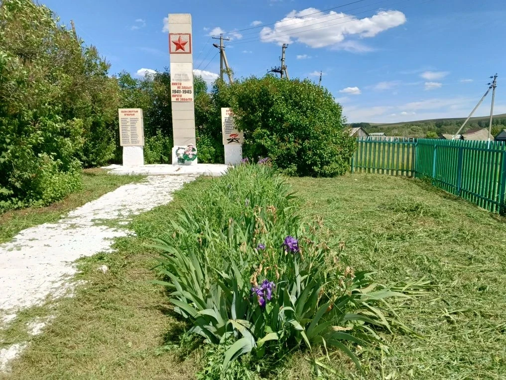 🙌Субботник по покосу сорной растительности