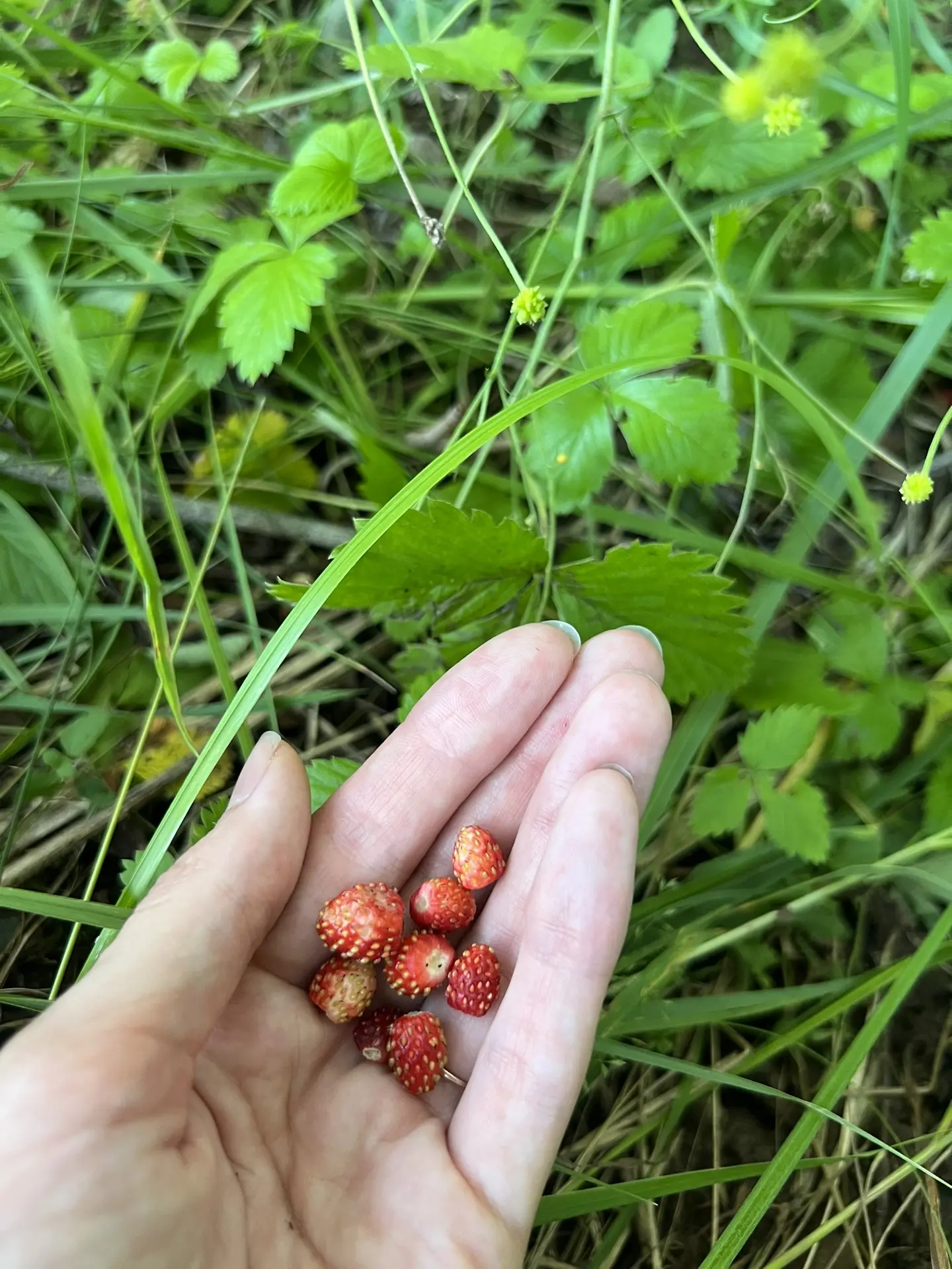 Верим в лучшее!

Наслаждаемся летом и продолжаем покорять мир☺️ столько еще планов!